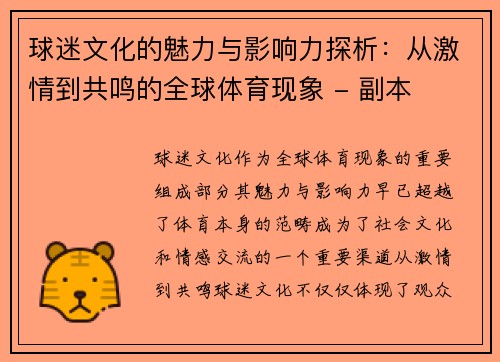 球迷文化的魅力与影响力探析：从激情到共鸣的全球体育现象 - 副本
