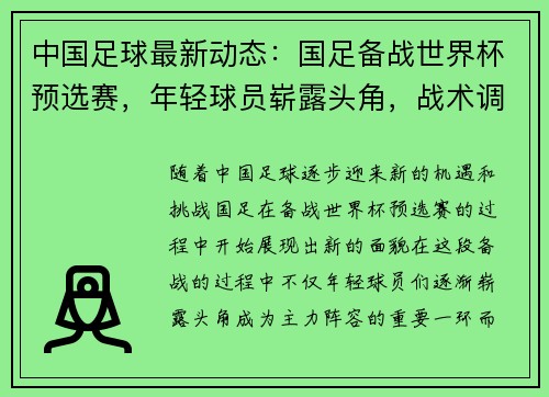 中国足球最新动态：国足备战世界杯预选赛，年轻球员崭露头角，战术调整引关注