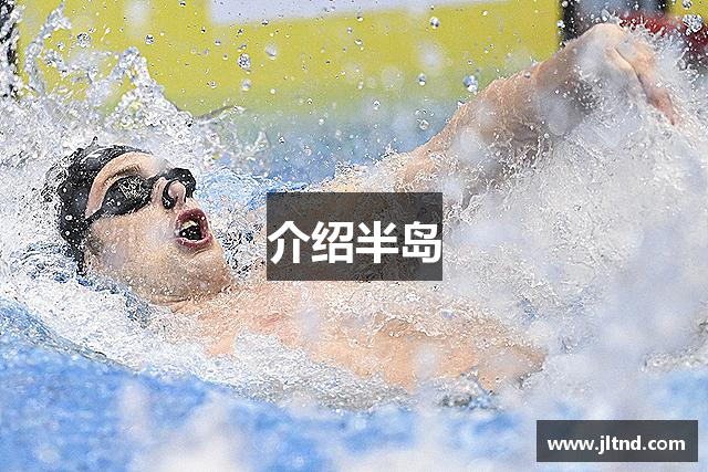 介绍半岛