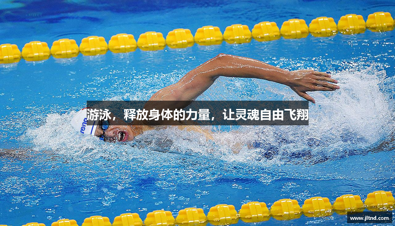 BD半岛官网